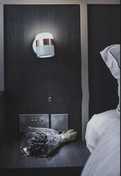 Blk 6A Boon Tiong Arcadia (Bukit Merah), HDB 4 Rooms #502962081